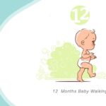 Your Twelve-Month-Old Baby's Growth