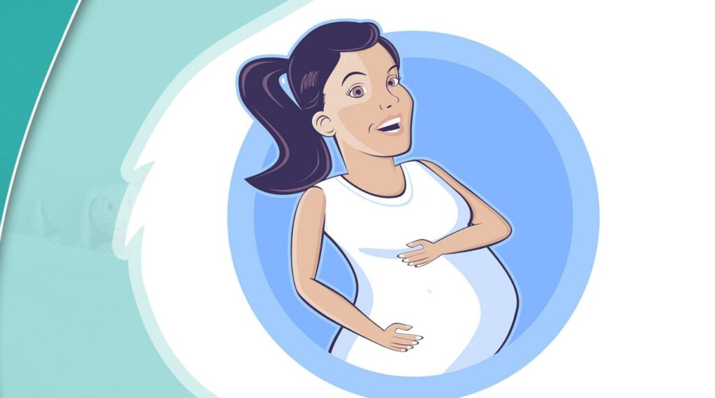 Discover pregnancy stages in simple points