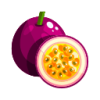 الأسبوع 12